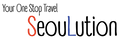SeouLution