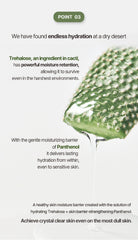 derDM PDRN CICA Ampoule Mask (5 sheets)