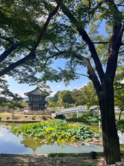 Must Do Things in Seoul – Time Travel Walking Tour of Gyeongbokgung, Bukchon & Hanok Cafe | Top Seoul Activities