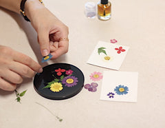 Press Flower (Mini Traditional Table Craft)
